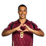 Foto de Y. Tielemans