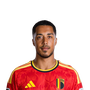Foto de Y. Tielemans