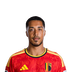 Foto de Y. Tielemans
