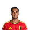 Foto de Y. Tielemans