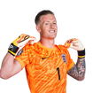 Foto de Pickford