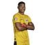 Foto de Jugador