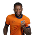 Foto de G. Wijnaldum