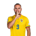 Foto de G. Puscas