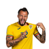 Foto de V. Mogos