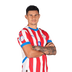Foto de A. Bareiro