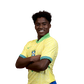 Foto de Endrick