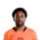 Foto de Q. Timber