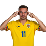 Foto de N. Bancu