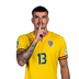 Foto de V. Mihaila