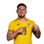 Foto de D. Sorescu