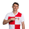 Foto de Ante Budimir