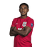 Foto de Jugador