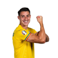 Foto de I. Nedelcearu