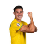 Foto de I. Nedelcearu