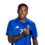 Foto de Jugador
