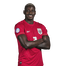 Foto de Jugador