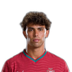 Foto de João Félix