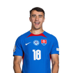 Foto de D. Strelec