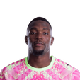 Foto de Y. Fofana