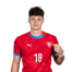 Foto de Jugador