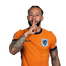 Foto de Jugador