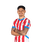 Foto de M. Espinoza