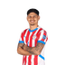 Foto de M. Espinoza