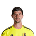 Foto de T. Courtois