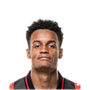 Foto de Paulinho