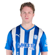 Foto de V. Koski