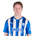 Foto de V. Koski