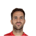 Foto de Cesc Fàbregas