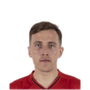Foto de V. Zyabko