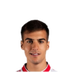Foto de V. Nikolov