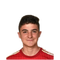 Foto de Ferni