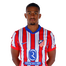 Foto de Jugador