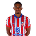 Lino