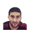Foto de M. Fellaini
