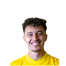 Foto de L. Balaj