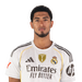 jugador