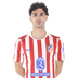 J. Cardoso