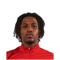 Foto de Y. Larouci