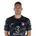 Grbić
