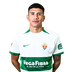 N. Castro