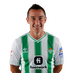 Guardado