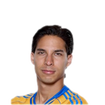 Foto de Diego Lainez
