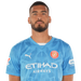 Gazzaniga