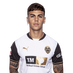 Barrenechea