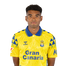 Foto de Jugador